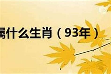 1993什么年